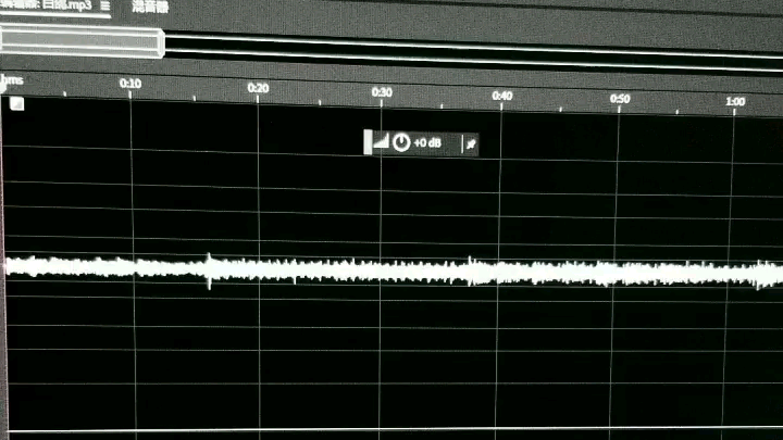 【白鸽】张丽下个月结婚,你去不去?